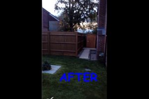 Fence Painting – Copthorne