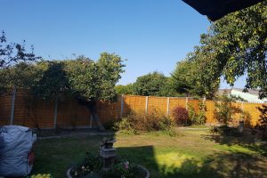 Horley – gardening